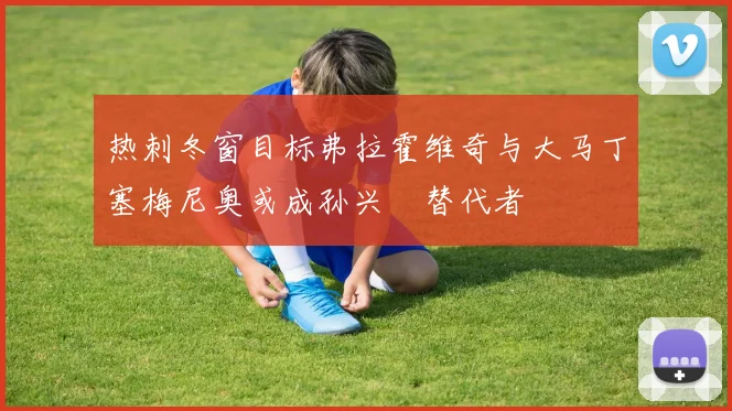 热刺冬窗目标弗拉霍维奇与大马丁塞梅尼奥或成孙兴慜替代者