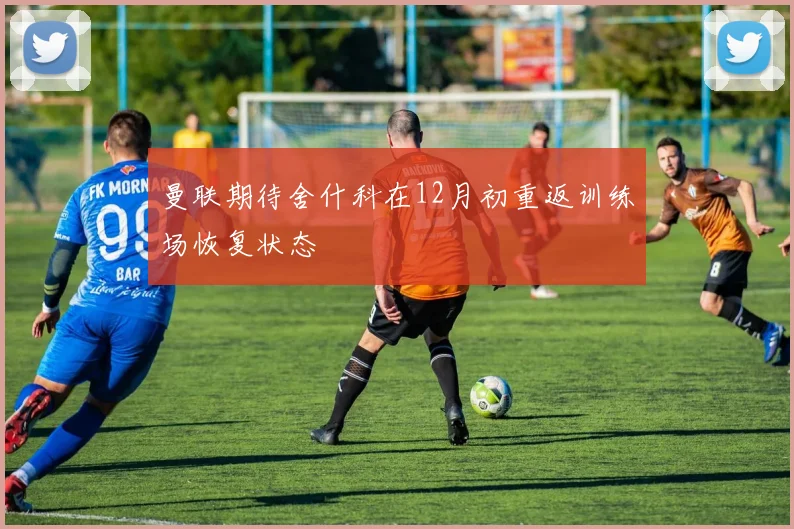 曼联期待舍什科在12月初重返训练场恢复状态