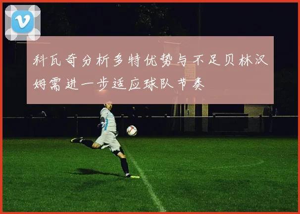 科瓦奇分析多特优势与不足贝林汉姆需进一步适应球队节奏